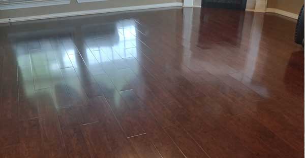 hardwood-floor-cleaner-fl