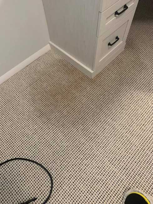 carpet-cleaning-before