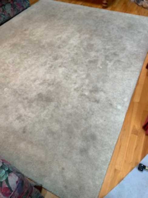 rug-cleaning-before