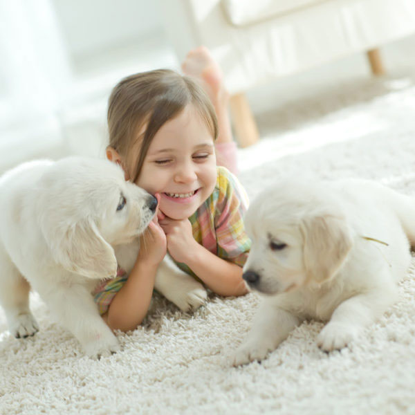 pet-friendly-cleaner