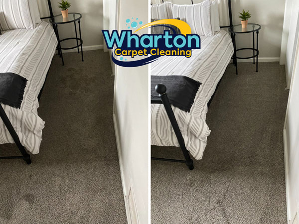 carpet cleaning before and after